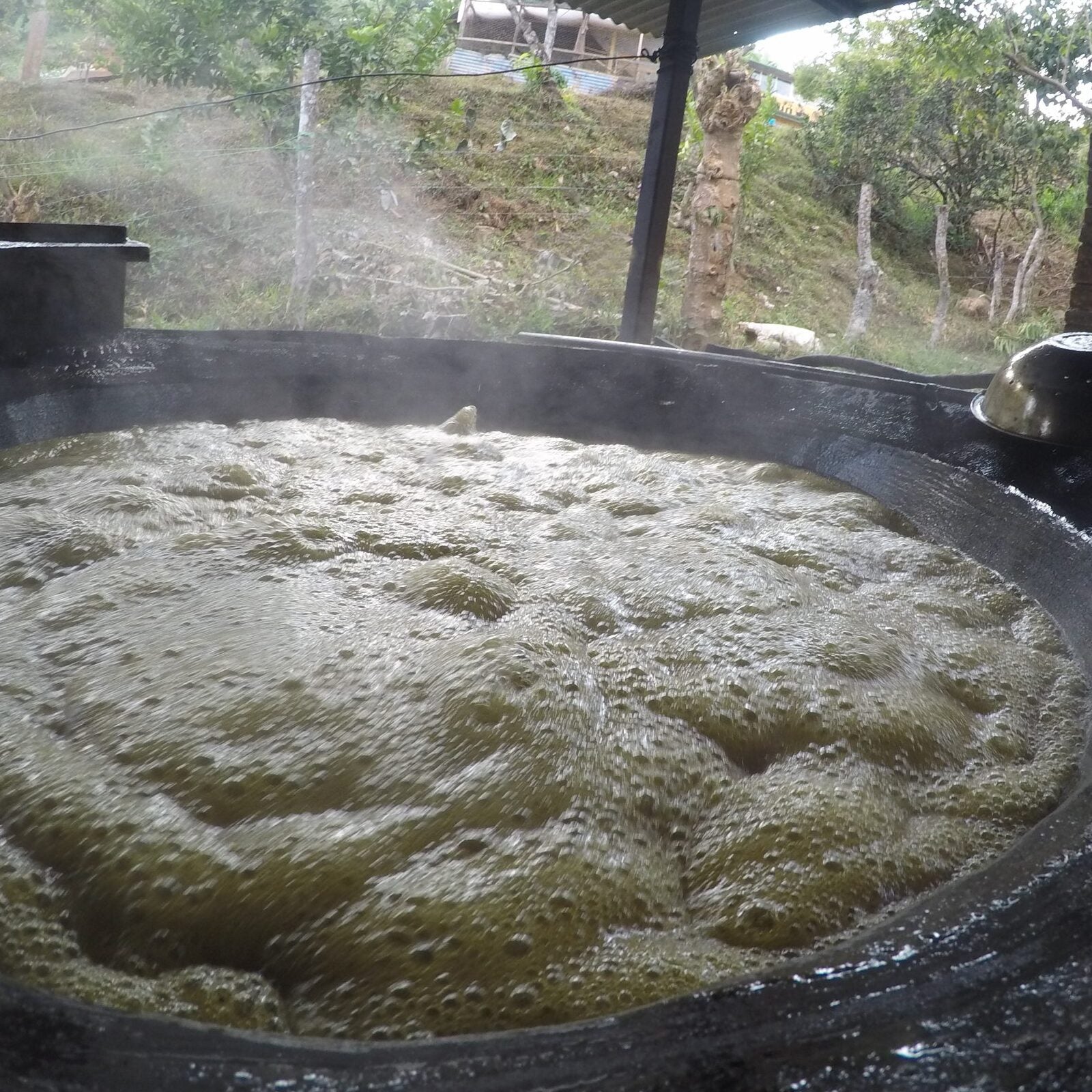 Ingwer-Zitrone-Muscovadozucker Bonbons