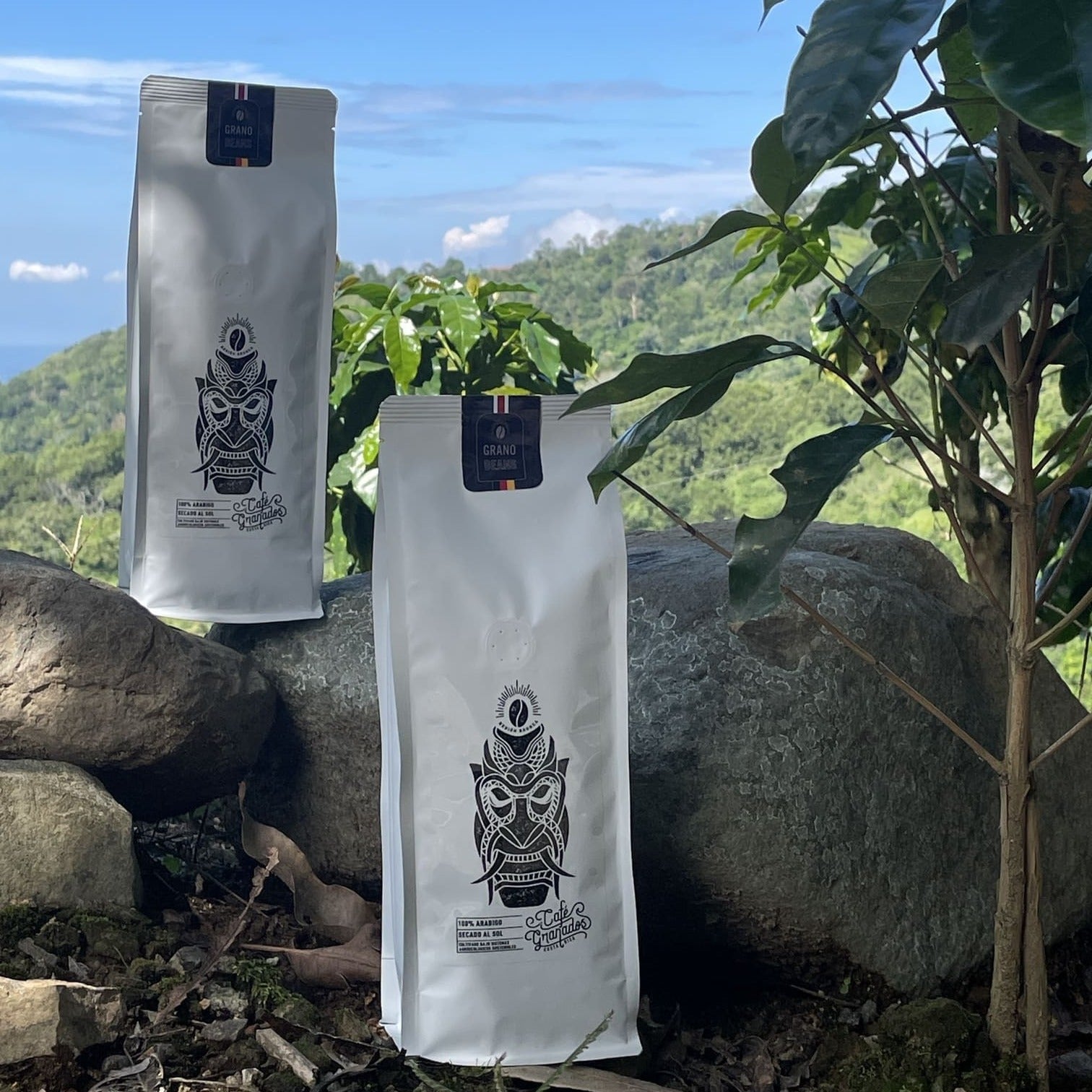 Zwei Kaffeepackungen der Limited Edition Sarchimor & Catuai von Costa Rica Kaffee inmitten einer idyllischen Landschaft, umgeben von Kaffeepflanzen und Natursteinen in Costa Rica.