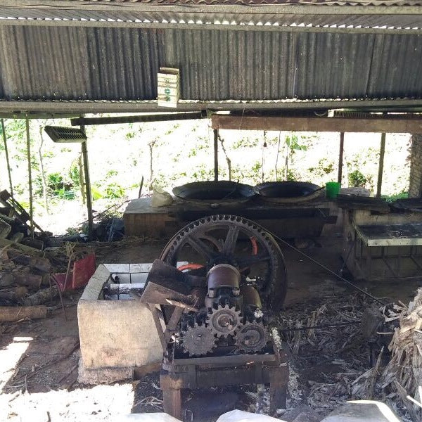 Ingwer-Zitrone-Muscovadozucker Bonbons