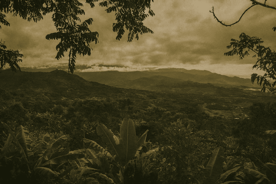 Panoramablick über die bergige Landschaft Costa Ricas mit dichtem Grün, Baumrahmung und Bananenblättern im Vordergrund, aufgenommen auf der Farm Granados (Café Granados); Nebel liegt über dem Tal – Costa Rica Kaffee.