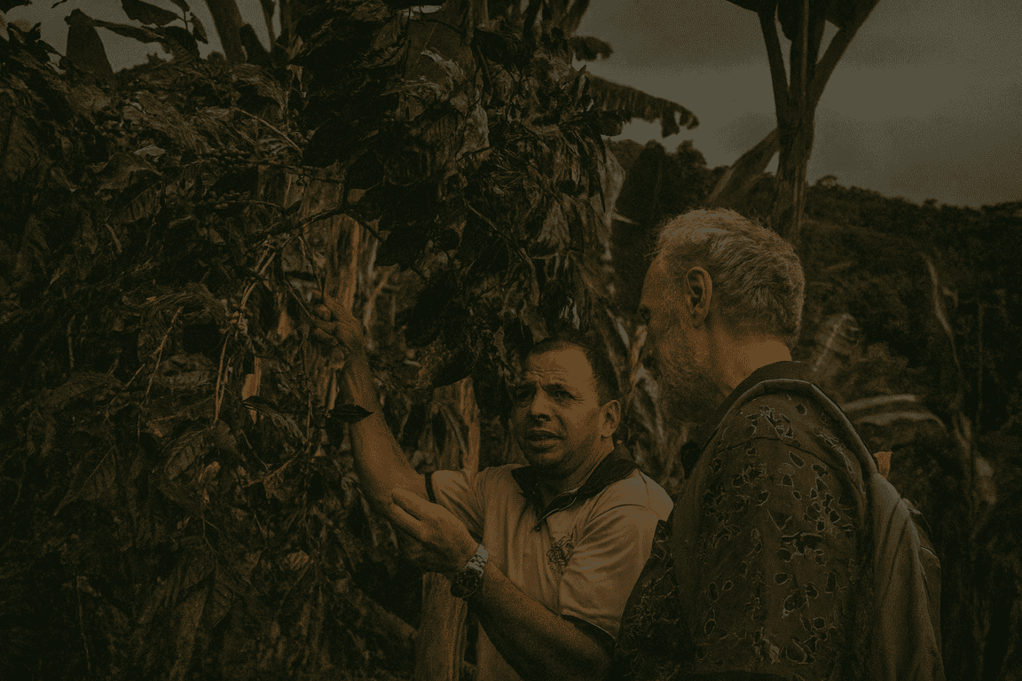 Zwei Personen auf der Farm Granados (Café Granados) begutachten Kaffeepflanzen im Agroforst; Führung auf der Kaffeeplantage in Costa Rica – Specialty Costa Rica Kaffee.