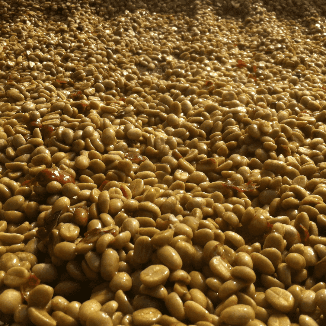 Gold "Standard" Cafe Granados