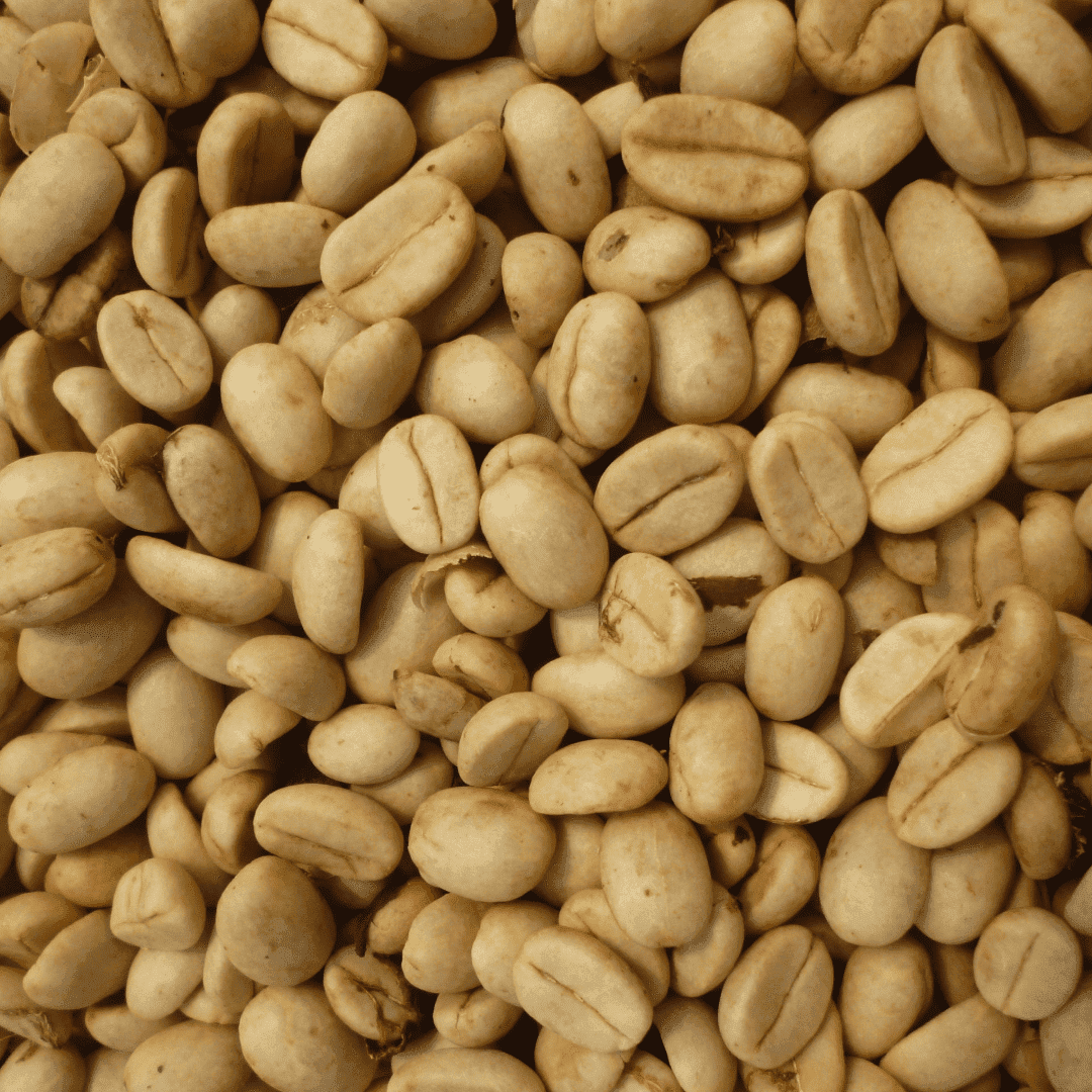 Gold "Standard" Cafe Granados