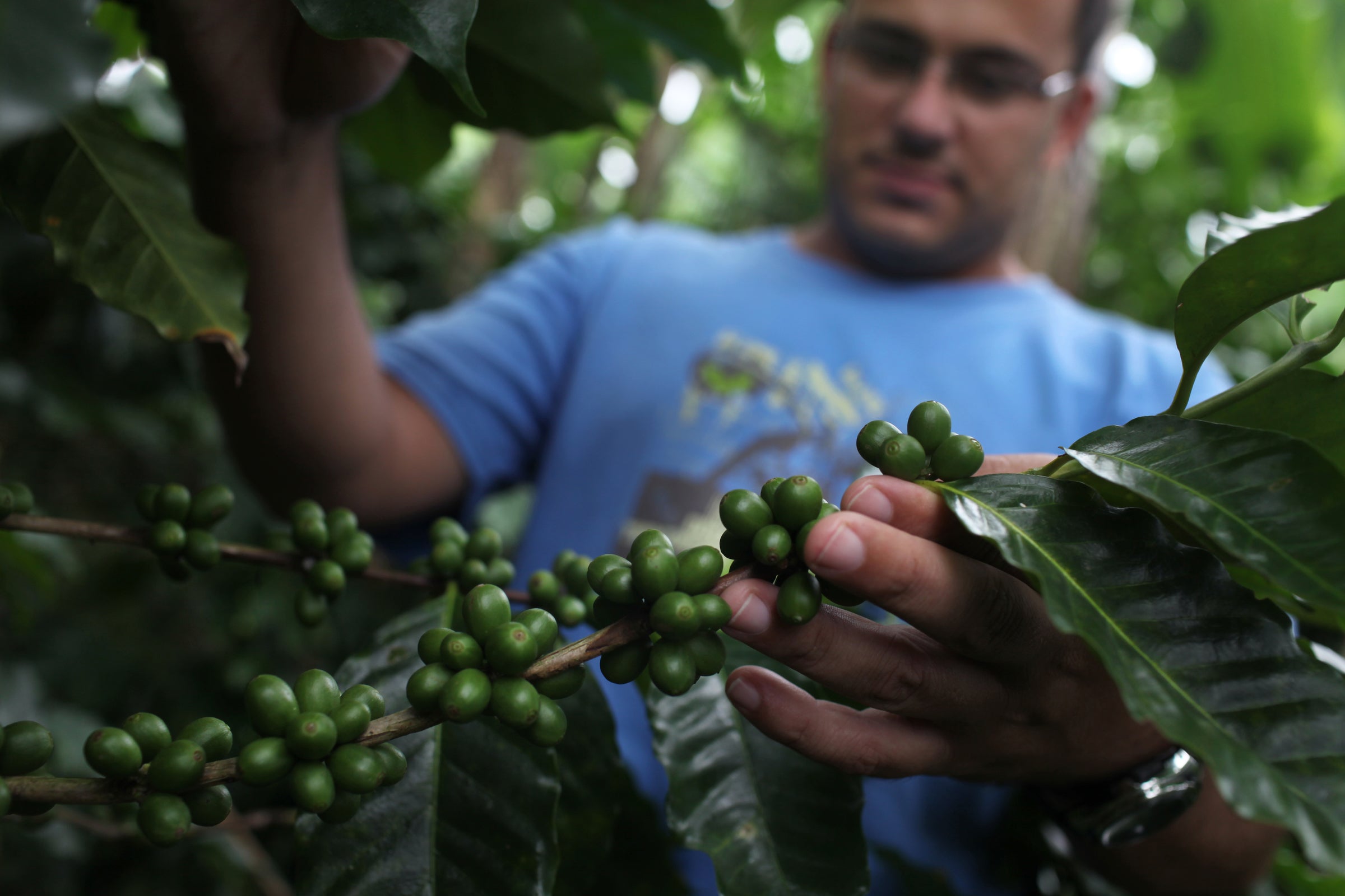 Black Classic Espresso