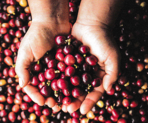 Crema Magazin: Alles in einer Hand