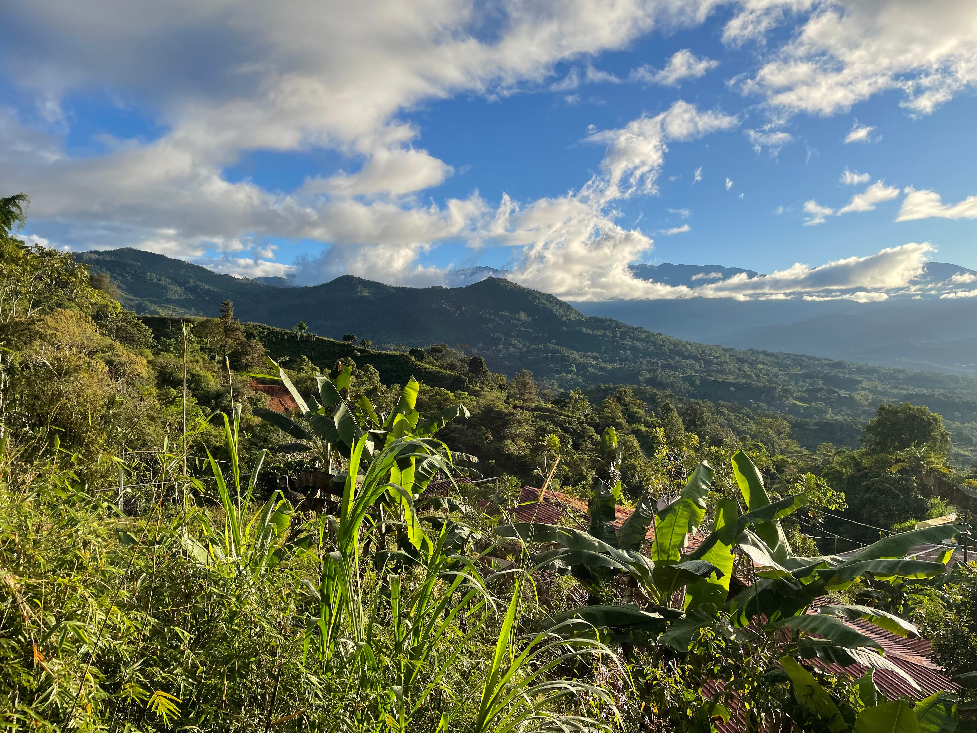 Costa Rica Kaffee Chirripo Talamanca Gebirge