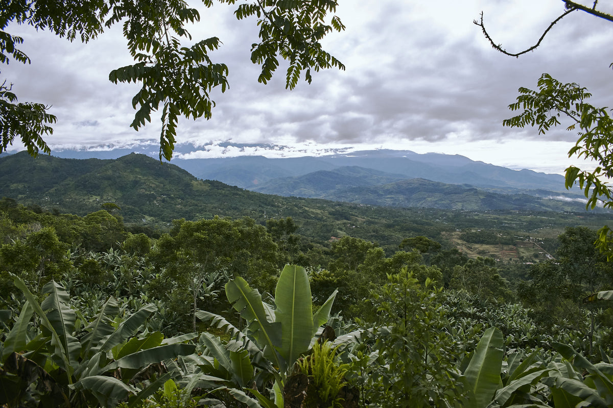 Panoramablick über das Talamanca-Gebirge mit tropischer Vegetation auf der Farm Granados (Café Granados) – Costa Rica Kaffee Landschaft.