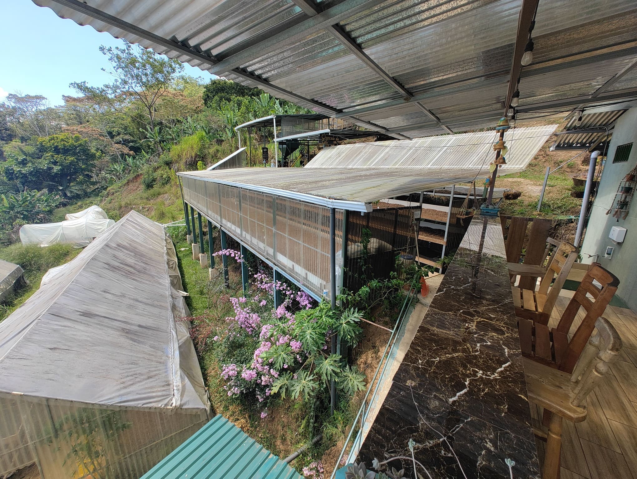 Trocknungsgebäude auf der Farm Granados in Costa Rica, wo die frisch geernteten Kaffeebohnen schonend unter kontrollierten Bedingungen getrocknet werden. Die Anlage nutzt natürliche Sonneneinstrahlung und Belüftung, um die Qualität und Aromen des Kaffees optimal zu bewahren.